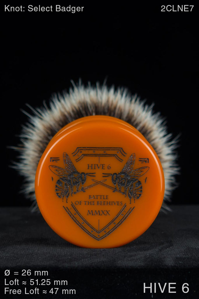 Hive 6
