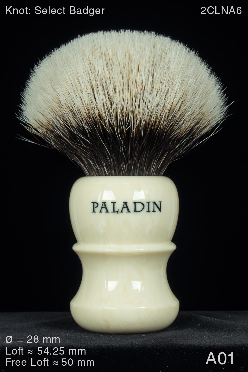 Paleface 2枚セット Palafin ex 207/187 Sv8a: Terastal Fest Ex Holo (Japanese